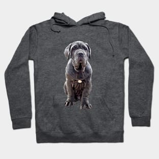 Neapolitan Mastiff - Stunning Dog! Hoodie